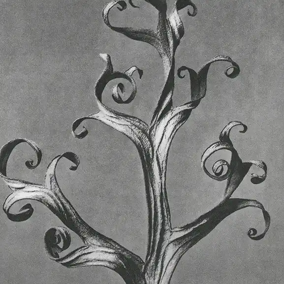 Imagine pentru serviciu